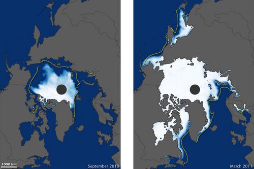 sea_ice_may_3.jpg