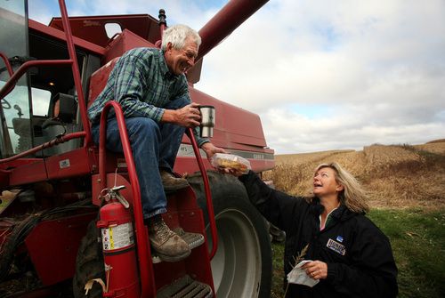 005harvest102011a.jpg