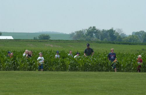 field_of_dreams_2.jpg