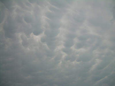 mamatus.jpg